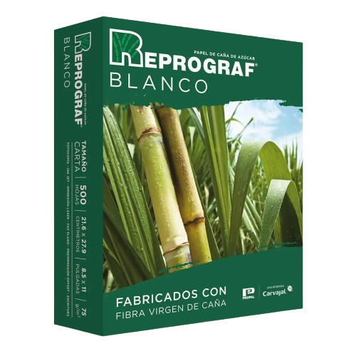 RESMA DE PAPEL CARTA